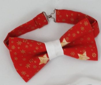 Noeud papillon adulte